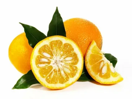 تصویر 1 از خریدکنسانتره نارنج اهرم + قیمت فروش استثنایی